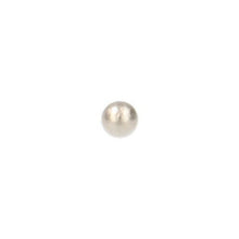 Neodymium Kogelmagneet Ø4 mm N48 NiCuNi