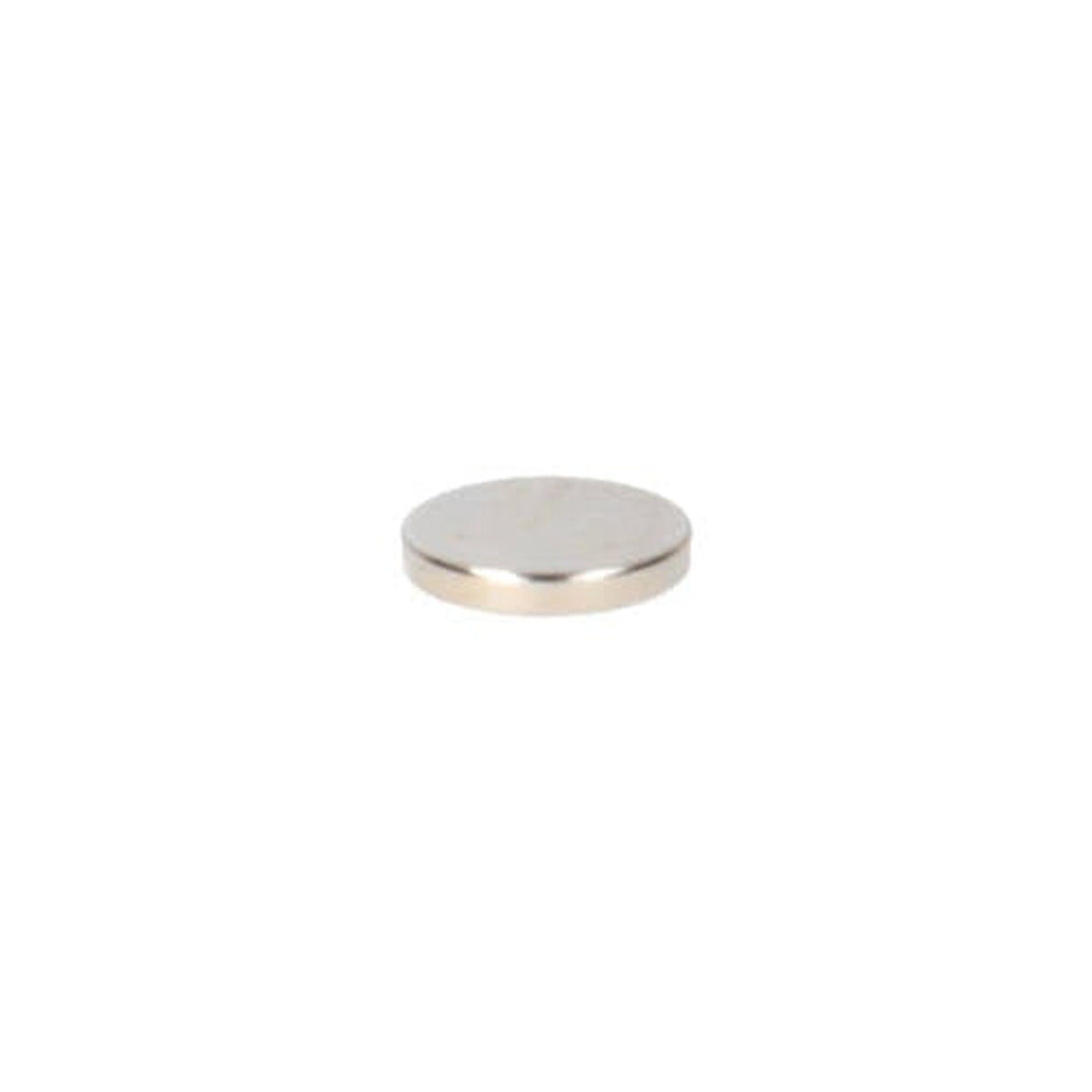 Neodymium Schijfmagneet Ø6 x 1 mm N48 NiCuNi