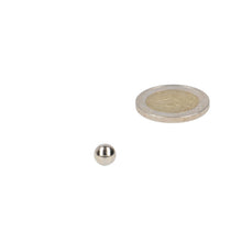 Neodymium Kogelmagneet Ø7 mm N48 NiCuNi - Magnetenspecialist Import & Export B.V.