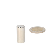 Neodymium Staafmagneet Ø12 x 25 mm N45 NiCuNi - Magnetenspecialist Import & Export B.V.