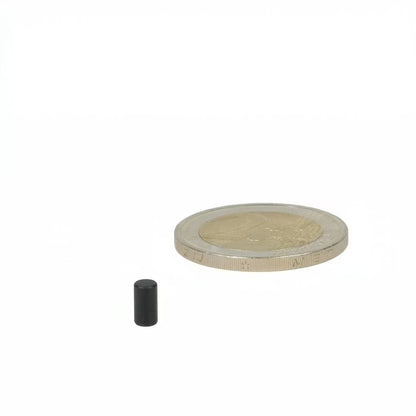 Neodymium Staafmagneet Ø3 x 6 mm N52 zwart epoxy - Magnetenspecialist Import & Export B.V.